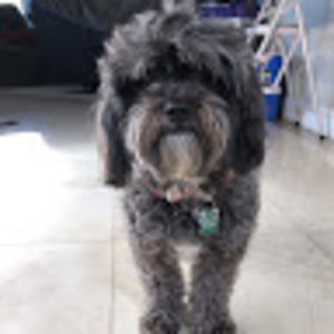 Meet your Posher, Khai-ly